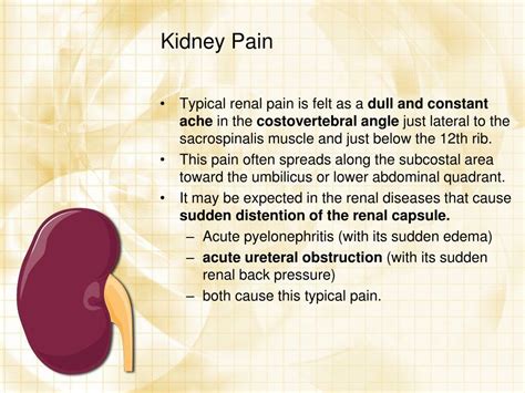 Ppt Urology Case Powerpoint Presentation Free Download Id494835