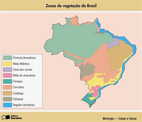 Fontes De Geografia E Geografia Da Religião Vegetação Do Brasil