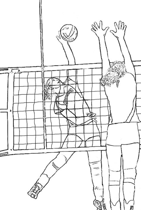 Realistic Coloring Page Of Volleyball Download And Print Online
