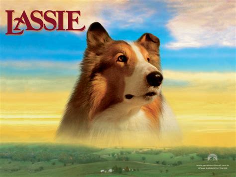 Mateusvieira Filme Lassie