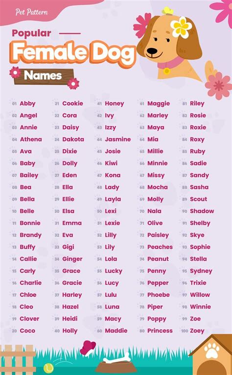 100 Popular Female Dog Names Female Dog Names Dog Names Cute Girl