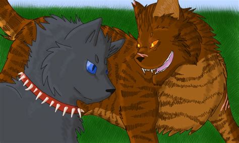 Tigerstar And Scourge By Coukieii On Deviantart