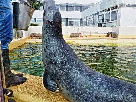 Die schönsten plätze in kiel: Kiel Sehenswürdigkeiten an einem Tag (Sightseeing Tour)