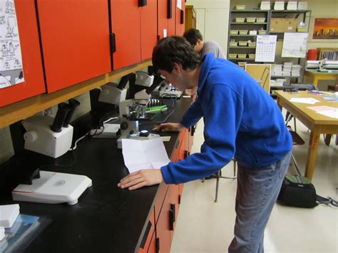 Forensic Science Forensic Science Questions For High School Students