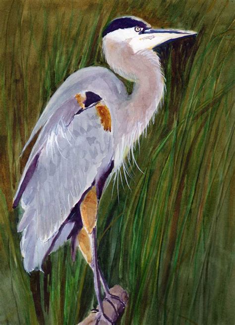 Great Blue Heron Watercolor Original Painting