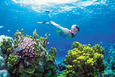 Das Größte Korallenriff Der Erde Great Barrier Reef N Tvde
