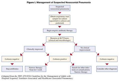 Recognising risk, signs and symptoms. Nosocomial Pneumonia | The Hospitalist