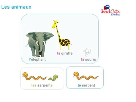 Les Animaux French Animals Teaching Resources