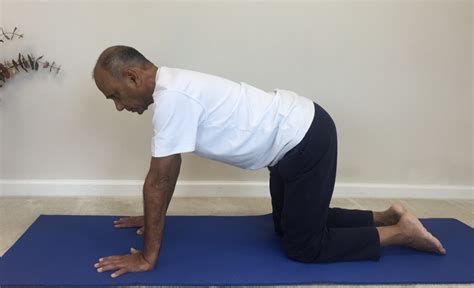 We did not find results for: Marjarasana (Cat & Cow stretch) for a healthy back | Yoga ...