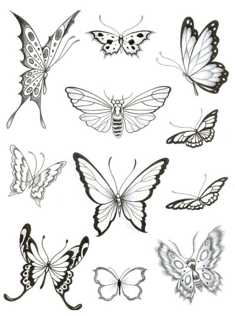 The Different Butterflies Are Drawn In Black And White
