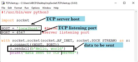 Python Socket How To Connect Tcp Client To Server Codeloop Gambaran