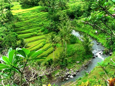 Gambar Pemandangan Alam Desa