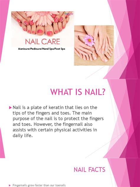 Nail Care Ppt Nail Anatomy Toe