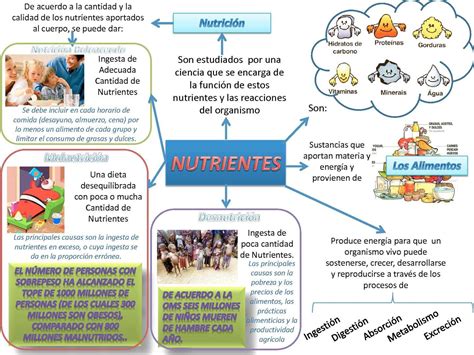 Mapa Conceptual Sobre La Clasificación De Los Nutrientes gretama