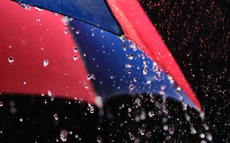 Download Wallpapers Rain Umbrella Raindrops Colorful Umbrella Rain