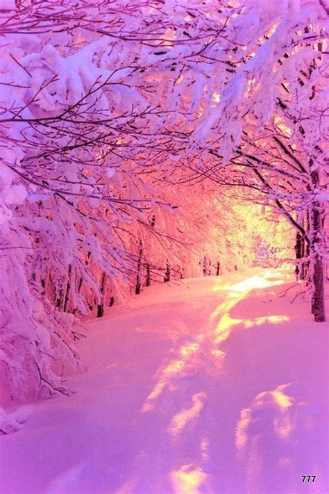 Pin By Dawn Marie♡ ̈ On Pink Winter Landscape Photography Landscape