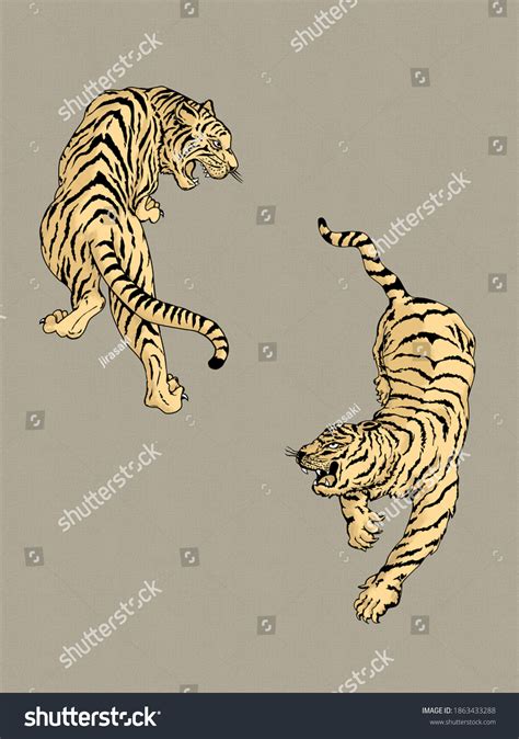Two Tigers Fighting Drawing Illustration Stock Illustration 1863433288