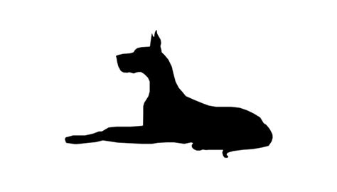 Dog Clip Art Images Silhouette Of Great Dane Laying Down