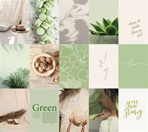 Plant Aesthetic Green Aesthetic Aesthetic Art Photo Wall Collage