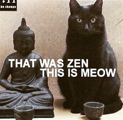 Pin By Margarette Rogers On Humor In 2020 Zen Yoga Funny Funny Cats