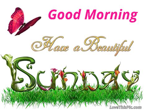 Good Morning Sunday   Images Download