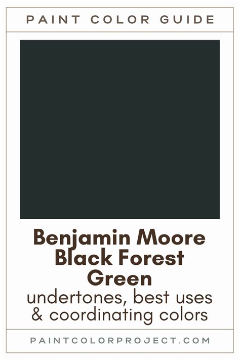 Benjamin Moore Black Forest Green A Complete Color Review The Paint