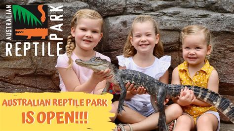 Were Reopening 🌟 The Australian Reptile Park Youtube