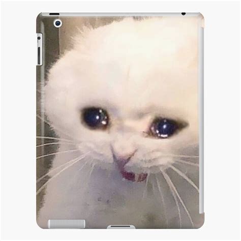 Funda Y Vinilo Para Ipad Meme Gato Llorando De Dylano1803 Redbubble