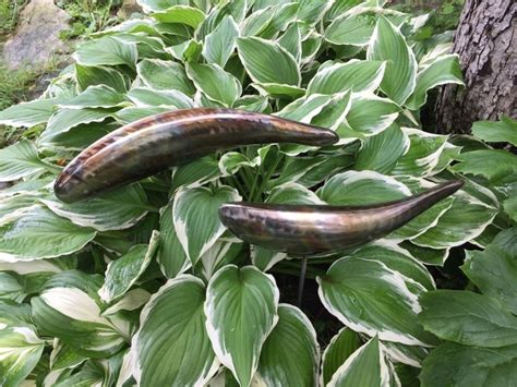 Koi Sculpture Stainless Steel Garden Fish Handmade Welded Etsy Fish