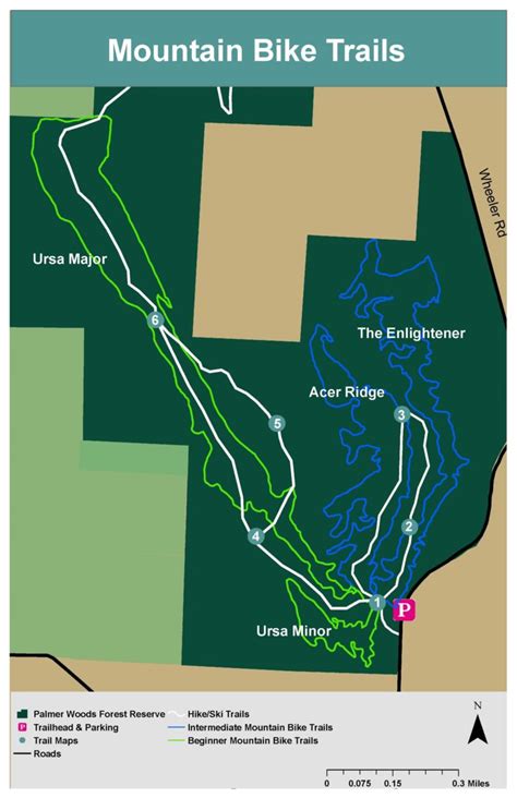 2 New Beginner Level Mountain Bike Loops Open At Palmer Woods Forest