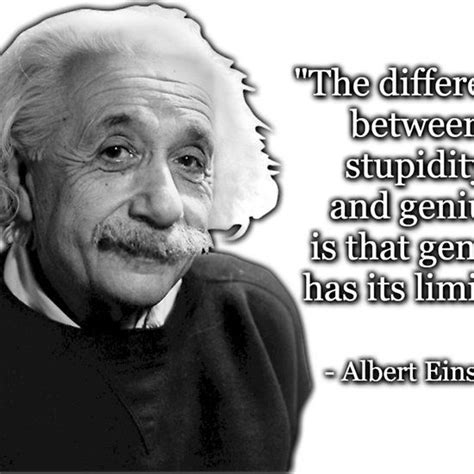 Check spelling or type a new query. Albert Einstein on Genius and Stupidity (With images ...