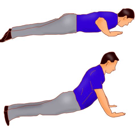 Exercise To Reduce Lower Back Pain Laird Chiropractic