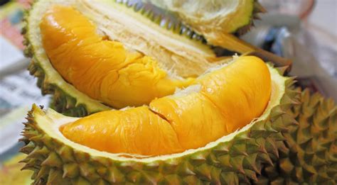 If i miss one thing from malaysia the most is the. Best of Malaysia's tropical fruits | Erasmus blog Kuala ...