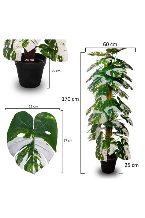 Monstera Plant Artificial Artificial Plants Plantshopme
