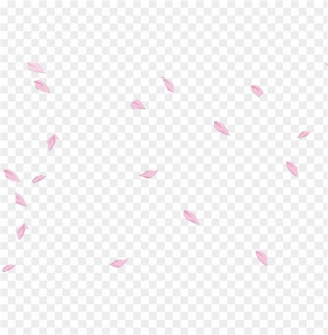 Background transparent png sakura petals hd ?. 愛されし者 Falling Background Cherry Blossom Png - さのばりも