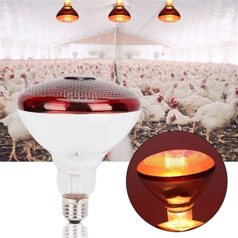 Infrared Red Heat Bulb Lamp Ruby 200w 250w Poultry Chick Brooder Lambs