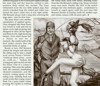 Old Bernalds Ponygirl Erofus Sex And Porn Comics