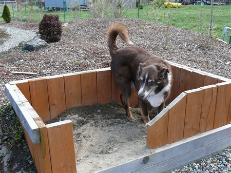 When he'd completely dug up the object, it turned out to be a round, metal door. Create a digging pit for dogs created out of leftover ...