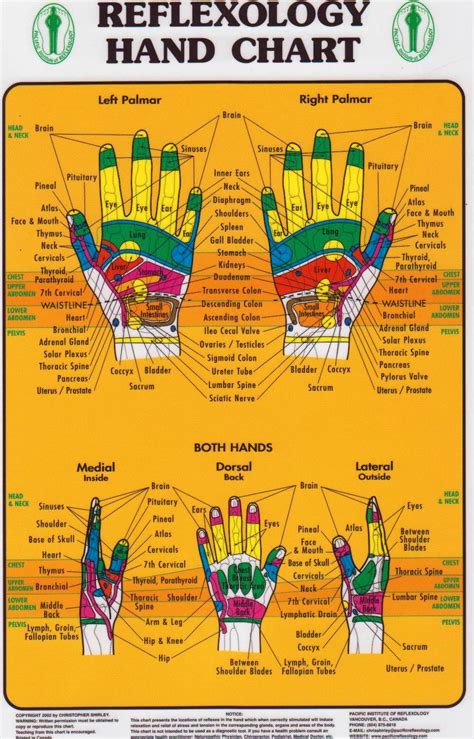 reflexology hands and feet charts