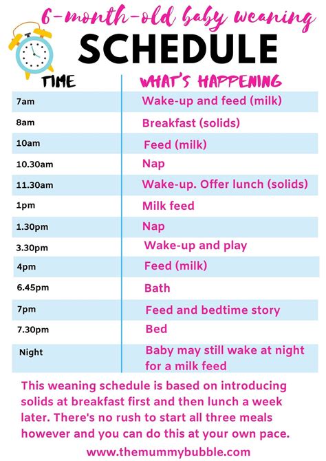 Perfect daily schedule for a 6-month-old baby | Baby solid food schedule, Baby schedule, Baby ...