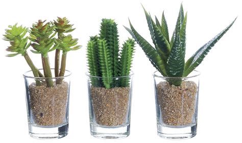 For inspiration, flip through this roundup of 14 rooms that perfectly decorate with cacti. Set of 3 Artificial Potted Cacti - 4 inches high ...