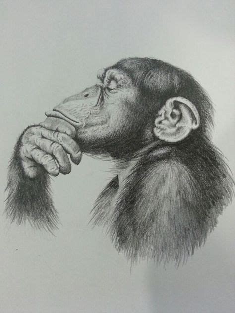 Pin By Nataly Abusaada On Mine Pencil Drawings Of Animals Monkey