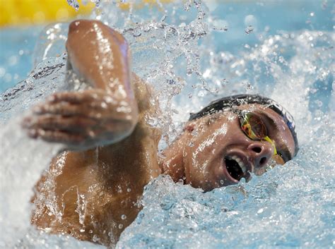 Discover more from the olympic channel, including video highlights, replays, news and facts about olympic athlete gregorio paltrinieri. Gregorio Paltrinieri ha vinto l'oro nei 1500 metri stile ...