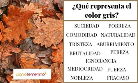 Color Marrón Según La Psicología Significados Y Usos Beneficiosos