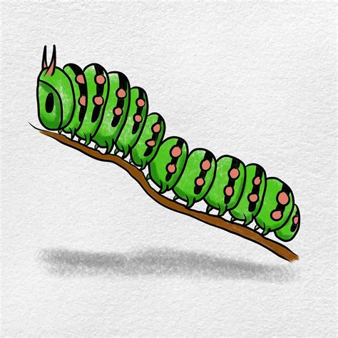 How To Draw A Caterpillar Helloartsy