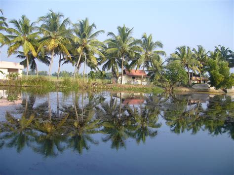 Beautiful Backwaters Of Kerala India Travel Forum