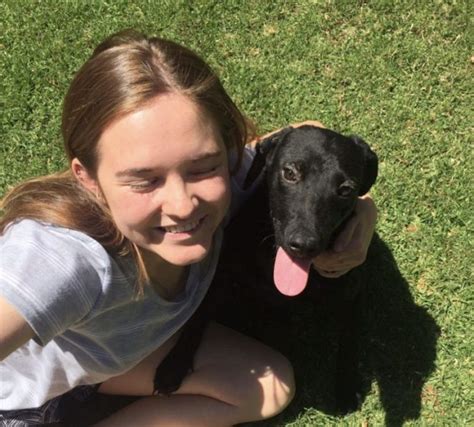 Dogs Ears And Eyes Are Covered In Strange Bumps Medical Team Rushes