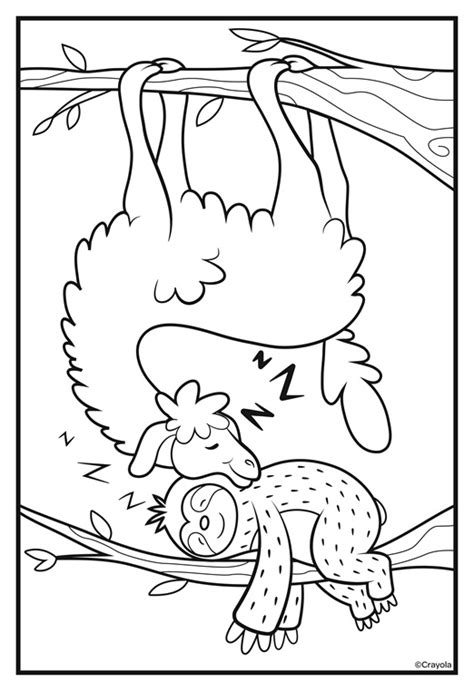 Kids who love surfing and being by the beach may enjoy these surfing colouring pages! Sloths Love Llamas Nap Time Coloring Page | crayola.com