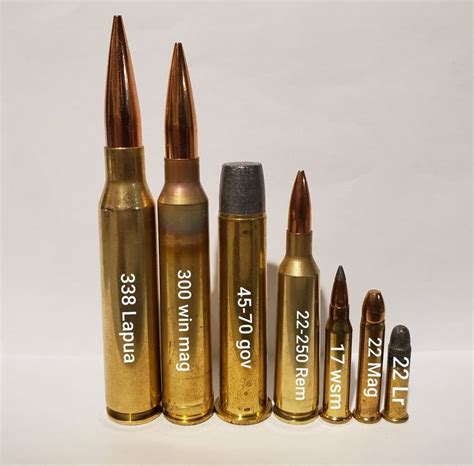 338 Lapua Ammo In Hand