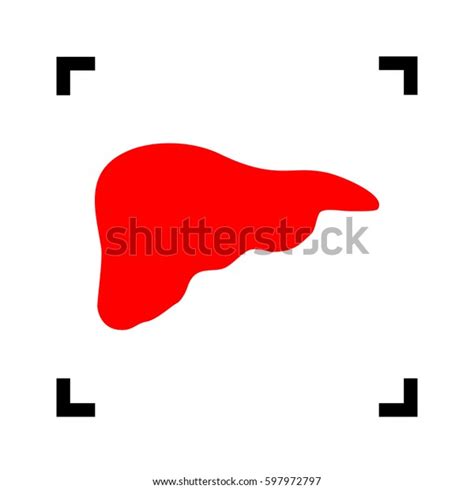 Human Anatomy Illustration Liver Sign Vector Stock Vector Royalty Free